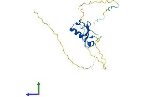Protein Structure (PS) image for Ring Finger Protein 4 (RNF4) (AA 1-194) protein (His tag) (ABIN7561839)