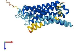 OR7A17 Protein (AA 1-309) (His tag)