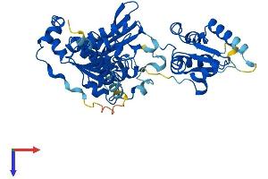MOCS3 Protein (AA 1-460) (His tag)
