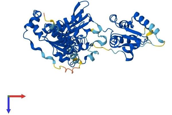 MOCS3 Protein (AA 1-460) (His tag)