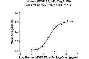 ELISA image for VEGF Receptor 2 (VEGFR2) (AA 20-764) protein (mFc Tag) (ABIN7275833)