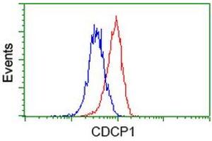 Image no. 2 for anti-CUB Domain Containing Protein 1 (CDCP1) antibody (ABIN1497411) (CDCP1 Antikörper)