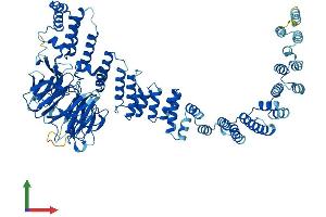 Protein Structure (PS) image for Vacuolar Protein Sorting-Associated Protein 16 Homolog (VPS16) (AA 1-839) protein (His tag) (ABIN7555998)