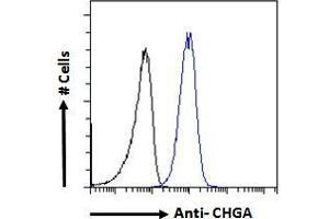 ABIN185645 Flow cytometric analysis of paraformaldehyde fixed A549 cells (blue line), permeabilized with 0. (Chromogranin A Antikörper  (Internal Region))