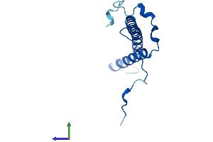 Protein Structure (PS) image for NADH Dehydrogenase (Ubiquinone) 1, Subcomplex Unknown, 2, 14.5kDa (NDUFC2) (AA 1-120) protein (His tag) (ABIN7560513)