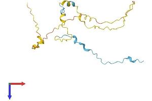 COPRS Protein (AA 1-184) (His tag)