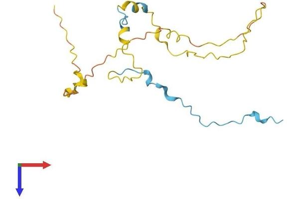 COPRS Protein (AA 1-184) (His tag)