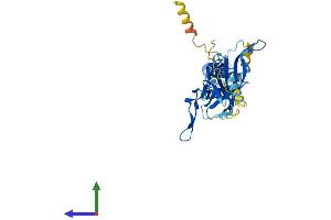 Protein Structure (PS) image for Potassium Inwardly-Rectifying Channel, Subfamily J, Member 1 (KCNJ1) (AA 1-372) protein (His tag) (ABIN7562593)