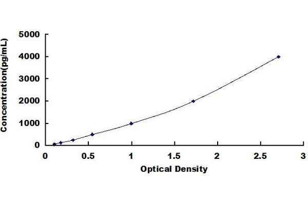 Asialoglycoprotein Receptor 2 ELISA Kit