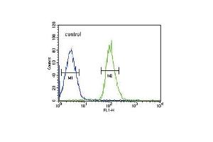 FGFR1 Antibody i FC analysis of MCF-7 cells (bottom histogram) compared to a negative control cell (top histogram). (FGFR1 Antikörper)
