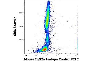 Flow cytometry surface nonspecific staining pattern of human peripheral whole blood stained using mouse IgG2a Isotype control (MOPC-173) FITC antibody (concentration in sample 9 μg/mL). (Maus IgG2a isotype control (FITC))