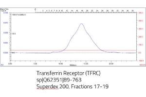 Size-exclusion chromatography-High Pressure Liquid Chromatography (SEC-HPLC) image for Transferrin Receptor (p90, CD71) (TFRC) (AA 89-763) protein (His tag) (ABIN3135544)
