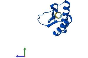 AlphaFold protein structure predicition of Human Recombinant DNAL4 Protein, UniprotID O96015