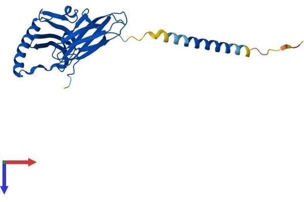 HIST1H2AA Protein (AA 1-233) (His tag)