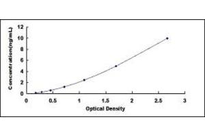 Typical standard curve (S100A16 ELISA Kit)