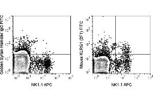 C57Bl/6 splenocytes were stained with APC Anti-Mouse NK1. (KLRG1 Antikörper  (FITC))