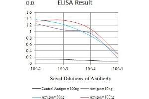 Black line: Control Antigen (100 ng),Purple line: Antigen (10 ng), Blue line: Antigen (50 ng), Red line:Antigen (100 ng) (Ataxin 1 Antikörper  (AA 645-815))