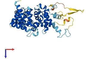 TBC1D13 Protein (AA 1-400) (His tag)