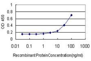 Detection limit for recombinant GST tagged RUNX2 is approximately 3ng/ml as a capture antibody. (RUNX2 Antikörper  (AA 251-350))