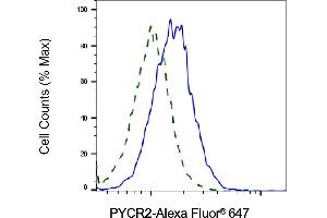 Validation of PYCR2 knockdown using flow cytometry. (PYCR2 Antikörper)