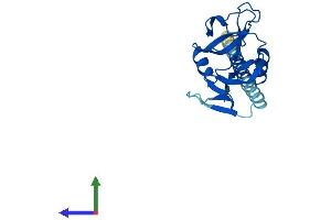 Protein Structure (PS) image for C-Type Lectin Domain Family 6, Member A (CLEC6A) (AA 1-209) protein (His tag) (ABIN7546592)