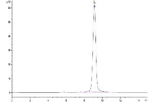 Size-exclusion chromatography-High Pressure Liquid Chromatography (SEC-HPLC) image for Prolactin Receptor (PRLR) (AA 25-236) protein (His tag) (ABIN7275466)