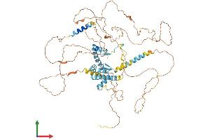 Protein Structure (PS) image for A Kinase (PRKA) Anchor Protein 8 (AKAP8) (AA 1-692) protein (His tag) (ABIN7551939)