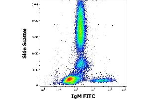 Flow Cytometry (FACS) image for Mouse anti-Human IgM antibody (FITC) (ABIN94403)