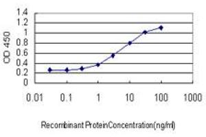 Detection limit for recombinant GST tagged C4B is approximately 0. (C4B Antikörper  (AA 1347-1446))