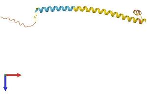 AlphaFold protein structure predicition of Human Recombinant LINC00523 Protein, UniprotID Q86TU6