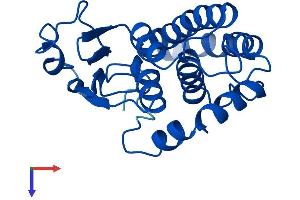 GSTM5 Protein (AA 1-218) (His tag)