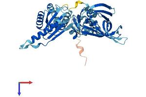 PELO Protein (AA 1-385) (His tag)