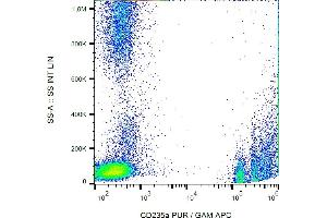 Flow cytometry analysis (surface staining) of CD235a in human peripheral blood (erythrocytes and leukocytes) with anti-CD235a (JC159) purified, GAM-APC. (CD235a/GYPA Antikörper)