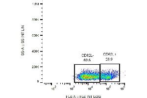 Flow cytometry analysis (surface staining) of human peripheral blood cells with anti-CD62L (LT-TD180) APC. (L-Selectin Antikörper  (APC))