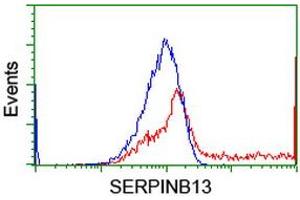 HEK293T cells transfected with either RC211032 overexpress plasmid (Red) or empty vector control plasmid (Blue) were immunostained by anti-SERPINB13 antibody (ABIN2455118), and then analyzed by flow cytometry. (SERPINB13 Antikörper)