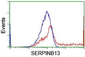 HEK293T cells transfected with either RC211032 overexpress plasmid (Red) or empty vector control plasmid (Blue) were immunostained by anti-SERPINB13 antibody (ABIN2455118), and then analyzed by flow cytometry.