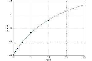 Tumor Necrosis Factor Receptor Superfamily, Member 10b (TNFRSF10B) ELISA Kit