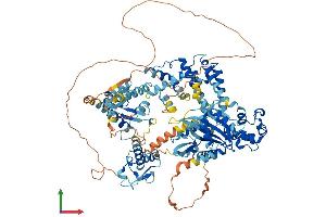 Protein Structure (PS) image for GTF2I Repeat Domain Containing 2 (GTF2IRD2) (AA 1-936) protein (His tag) (ABIN7560446)