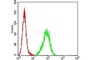 Flow cytometric analysis of Hela cells using C1QA mouse mAb (green) and negative control (red). (C1QA Antikörper  (AA 96-245))
