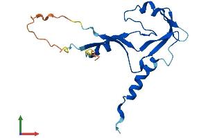 AlphaFold protein structure predicition of Human Recombinant RNASEH2C Protein, UniprotID Q8TDP1