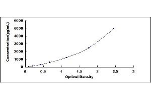 Typical standard curve (BMP1 ELISA Kit)