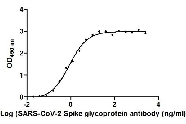 Rekombinanter SARS-CoV-2 Spike S1 Antikörper  (RBD)