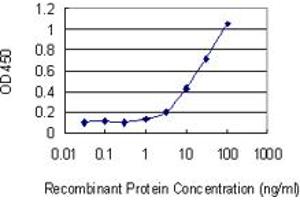 Detection limit for recombinant GST tagged KLK1 is 0. (Kallikrein 1 Antikörper  (AA 168-262))