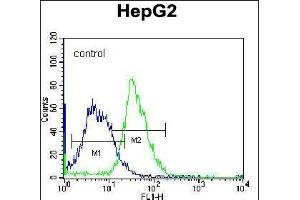 PLEKHH1 Antibody (C-term) (ABIN656704 and ABIN2845936) flow cytometric analysis of K562 cells (right histogram) compared to a negative control cell (left histogram). (PLEKHH1 Antikörper  (C-Term))