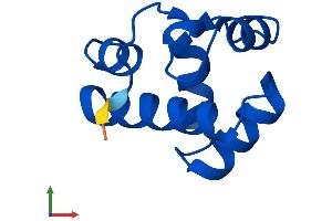 Protein Structure (PS) image for Barrier To Autointegration Factor 1 (BANF1) (AA 1-89) protein (His tag) (ABIN7552554)