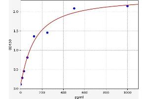 S100 Calcium Binding Protein B (S100B) ELISA Kit