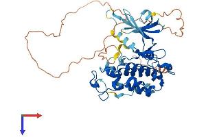 Cyclin-Dependent Kinase 15 (ALS2CR7) (AA 1-435) protein (His tag)