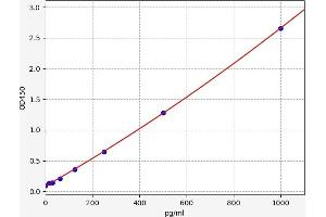 Fms-Related tyrosine Kinase 3 Ligand (FLT3LG) ELISA Kit