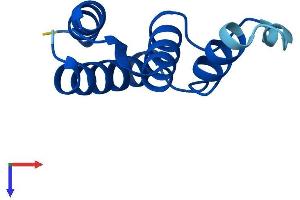 ACBD7 Protein (AA 1-88) (Fc Tag)