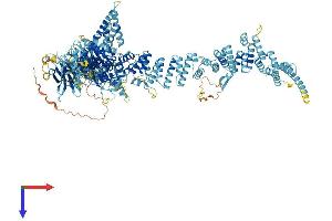 NUP160 Protein (AA 1-1436) (His tag)